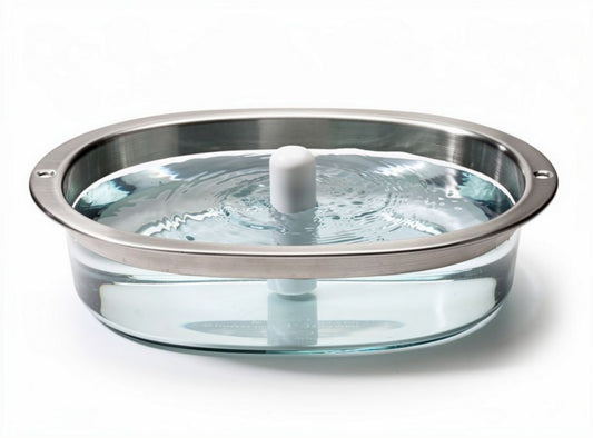 Bassin en verre pour décoration intérieure avec eau - 30 x 30 x 10cm